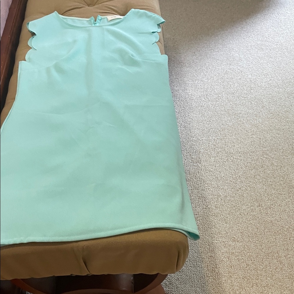 Everly Mint Green Scallop Sleeve Mini Dress